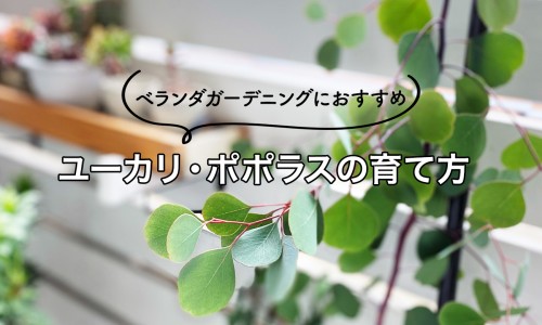 内脂肪率多少算正常-内在脂肪指数网 | 内脏脂肪指数计算公式,内在脂肪标准是多少